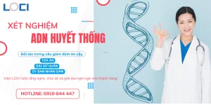 xét nghiệm adn huyết thống Viện LOCI