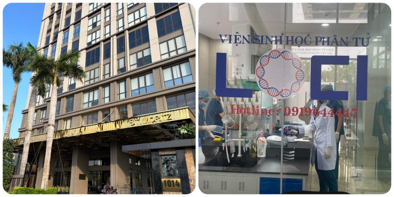 Xét nghiệm ADN Quảng Ngãi: Top 7 địa chỉ uy tín, chính xác nhất 2 Viện LOCI