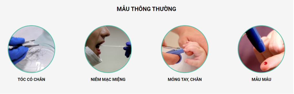 Xét nghiệm ADN