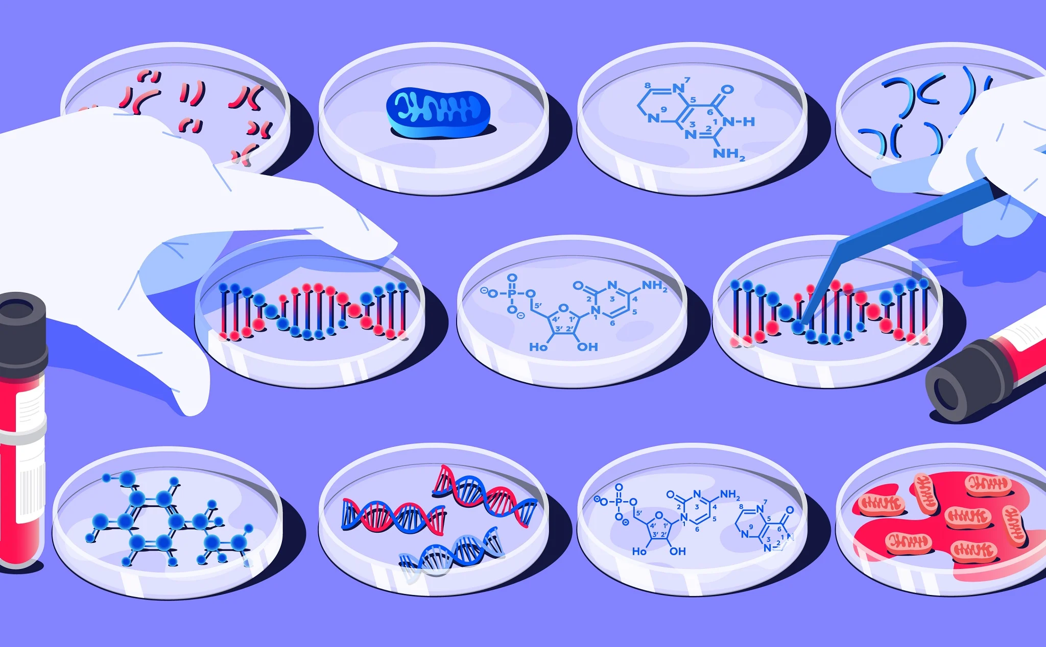 Quy Trình Thực Hiện Xét Nghiệm ADN