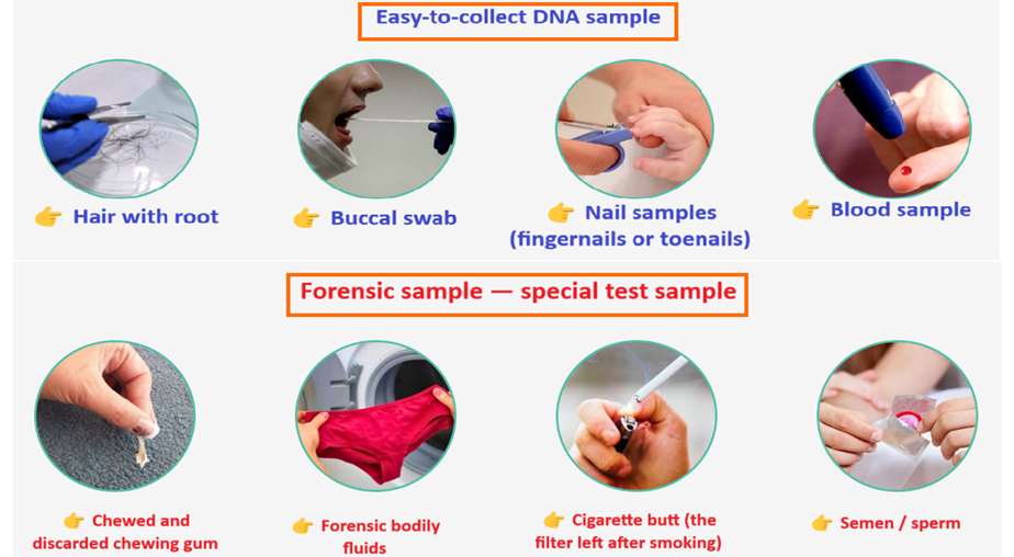 DNA paternity and maternity test 6 ghep adn sample