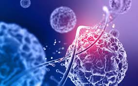 Xét nghiệm ADN bao nhiêu tiền và các loại xét nghiệm ADN huyết thống 1 Tổng quan về xét nghiệm ADN huyết thống
