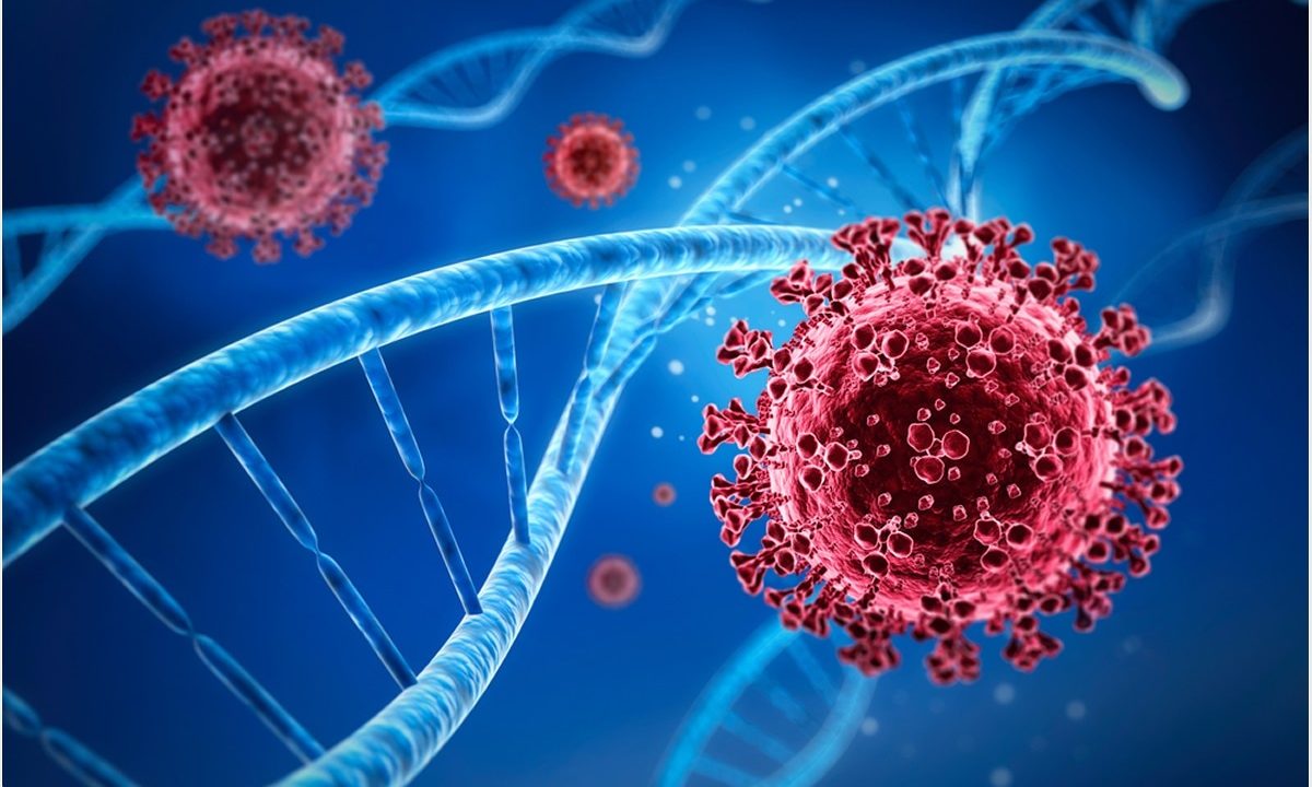 Xét nghiệm ADN bao nhiêu tiền và các loại xét nghiệm ADN huyết thống 3 Các phương pháp xét nghiệm ADN huyết thống phổ biến