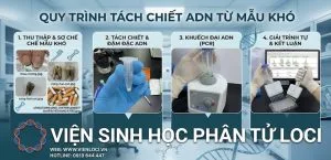 Qui trình tách chiết ADN các mẫu khó
