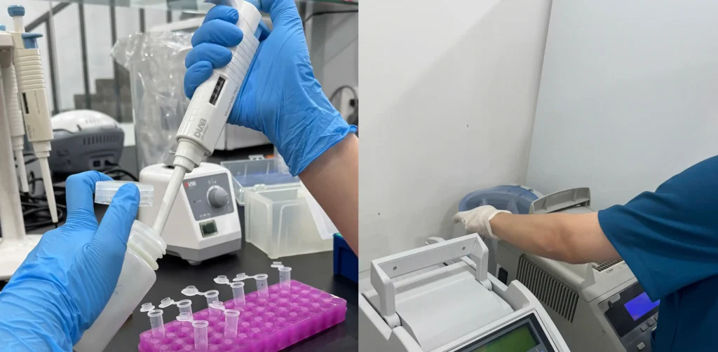 tách chiết adn và pcr