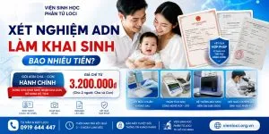 xét nghiệm adn khai sinh bao nhiêu tiền