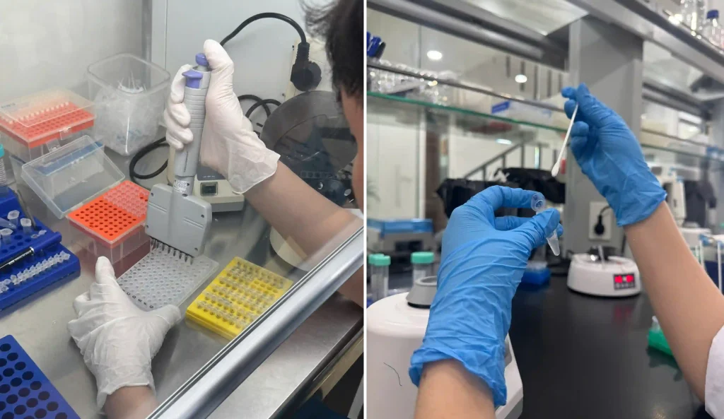 Ly trích ADN và chuẫn bị PCR