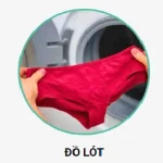 Đồ lót / vết sinh học